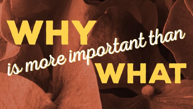 2016-0613-why-what