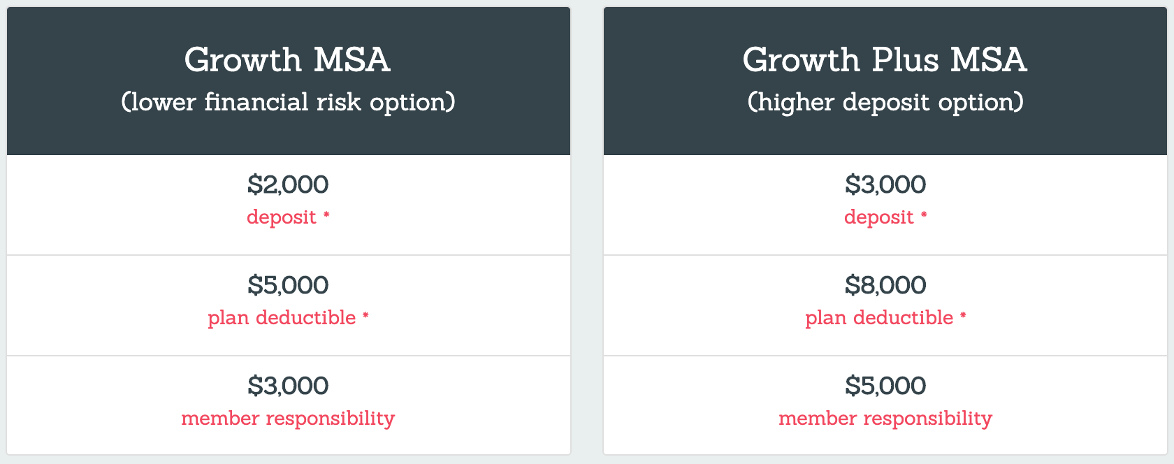 2021-lasso-healthcare-msa-plan-options